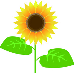 一輪のひまわり