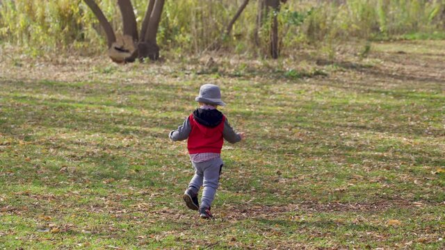 Energetic toddler boy running through a field into a forest.