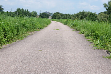 公園