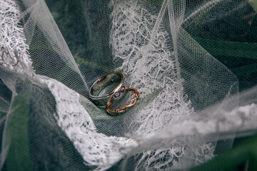 wedding rings over the wedding dress