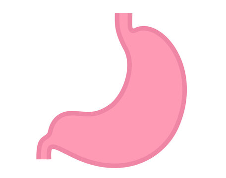 アウトラインのある胃のシンプルなイラスト。胃が健康な状態のもの。