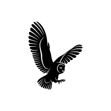 Silhouette owl vector illustration design with black colour