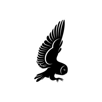 Silhouette owl vector illustration design with black colour