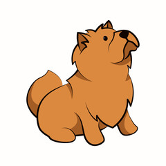 chow chow dog cute cartoon flat design