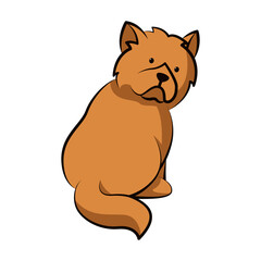 chow chow dog cute cartoon flat design