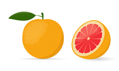 Bright juicy grapefruit with leaf whole and cut isolated on white background. Vector illustration
