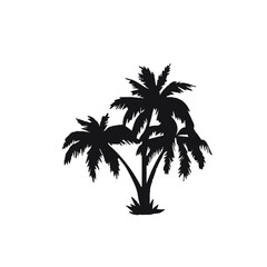 coconut tree illustration