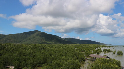 Fototapeta na wymiar landscape of mangrove forest with mountains and clouds