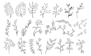 Set of Hand Drawn Botanical Leaf Doodle Wildflower