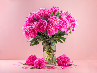 peonies in a glass vase on a pink background