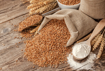 wheat grains fall out of the bag on a wooden table. Spoon with flour and spikelets - 446543729