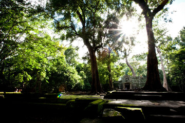 캄보디아 타 프롬