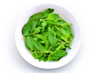 Basil flower on white background.