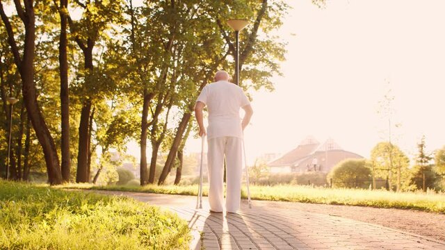 Disabled old man is walking with a walker. Handicapped patient in the park. Assistance, rehabilitation and health care. Golden hour sunset.