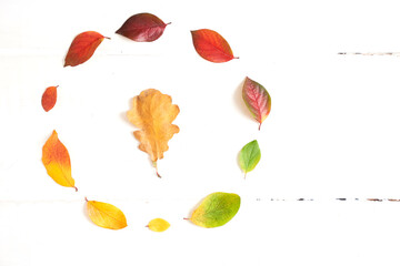 Circle of colorful autumn leaves with oak in the middle in the form of a gradient, layout for design on a wooden white background. High quality photo