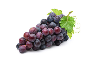 Black grape cluster with leaves isolated on white background.