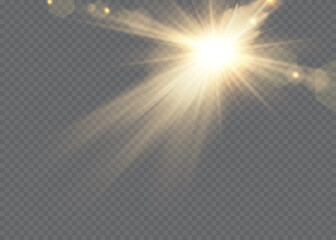 Vector transparent sunlight special lens flare light effect. © luda