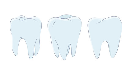Set of molars in a cute cartoon style. Vector illustration of teeth icons  isolated on a white background.