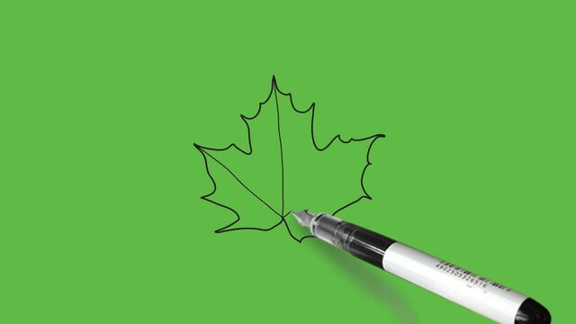Drawing brown colour dry leaf and black outline on abstract green background

