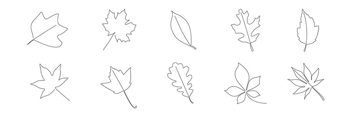 One line leaf set. Vector hand drawing autumn illustration and icon
