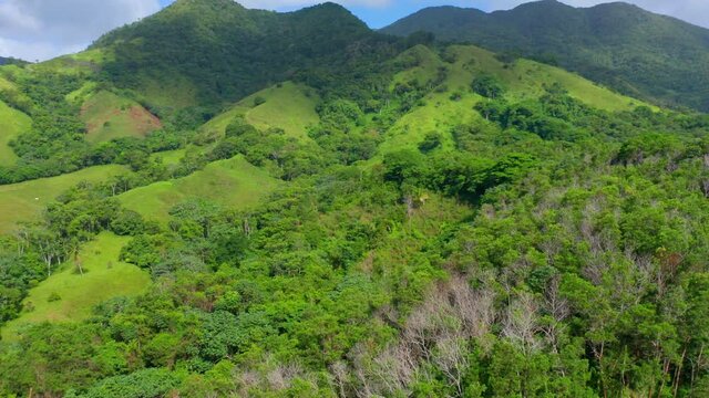 Aerial drone footage of vibrant green rural landscape in sunlight showing green trees growing on green hills in Dominican Republic.