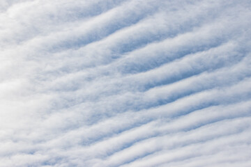 Fototapeta na wymiar Cirrus clouds in the sky.