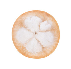 santol fruit isolated on white background