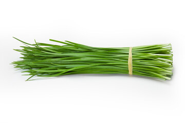 Fresh Chinese Chive or Kui-chai tie a rope isolated on white background