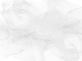 Obraz premium Abstract alcohol ink texture marble style background.