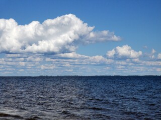 The tree is in the water.The lake flooded the Bank with a tree.The lake in the spring. Sandy beach.