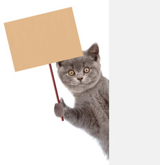 Cat looks from behind empty white banner and holds blank banner mock up on wood stick. isolated on...