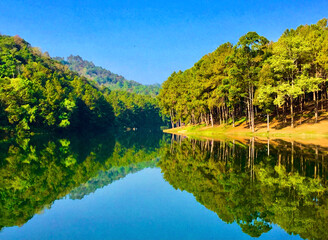 Fototapeta premium lake in the forest