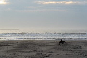 霧中の海と乗馬