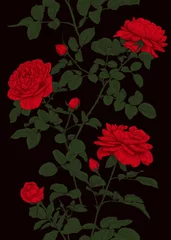 Schilderijen op glas Floral vintage seamless pattern with red roses on dark background. Flowers ornament. Botanical vector illustration. Colorful print. © Anna