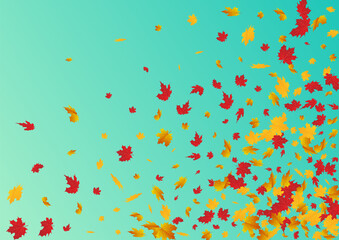 Colorful Leaves Vector Blue Background. Seasonal