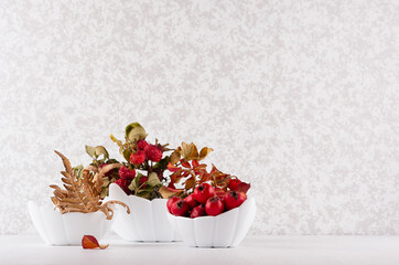 Autumn dried berries rose hip with red leaves, fern branch and ripe hawthorn as ingredient for alternative medicine on white wood table, copy space.