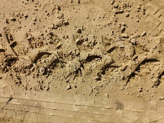 sandy shore of the lake prints of human footprints and water flows