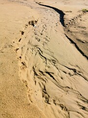 sandy shore of the lake prints of human footprints and water flows