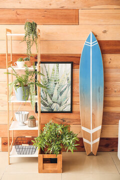 Interior of modern stylish room with shelf unit and surfboard