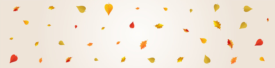 Orange Floral Vector Grey Panoramic Background.