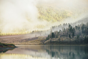 Colorful autumn landscape with mountain lake and coniferous trees with hoarfrost on hill with view to forest mountain in golden sunshine in low clouds. Sunlit yellow and frosty white larches in fog.