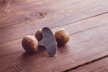 Macadamia nuts on a brown wooden table. Special metal key for opening macadamia nuts