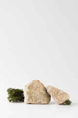 A podium made of gray stones, moss for the presentation of your product. Modern display of goods