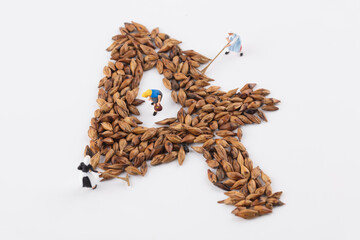 Farmer packs barley tea into number 4 on white background