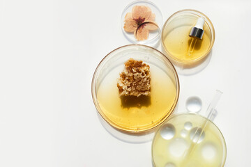 Abstract cosmetic laboratory. Chemical laboratory research. Nature cosmetics with honey.