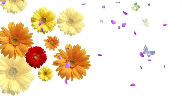 Sunflower flower butterfly cherry blossom fluttering
