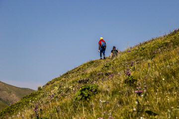 Two hikers climbing up the grassy hill together on summer during  sunny clear day, rear view. Hiking, traveling with backpack, vacations, summer holidays concept. Faces not seen.