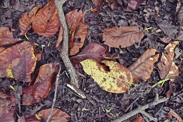 Know nature closely