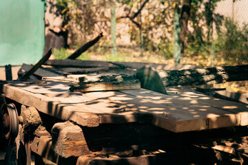 circular power saw for cutting wood. circular saw blade on a wooden machine.