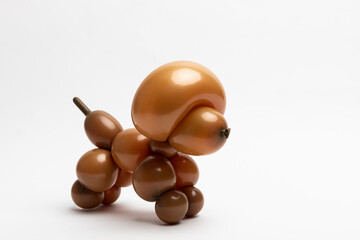 A cute little poodle made from a coffee-colored 360 magic balloon on a white background.